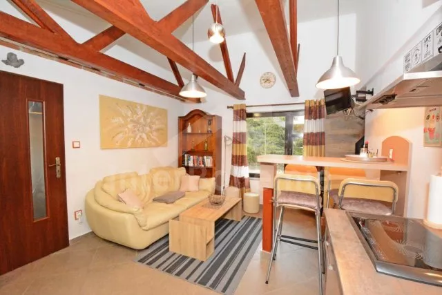 Apartmán Vranovská Přehrada - Jazovice JM 0035 E