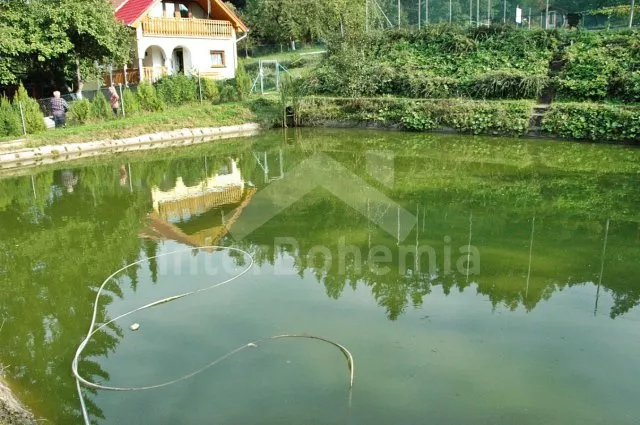 Chalet Dyje river and Surroundings - Podhradi nad Dyji JM 0110