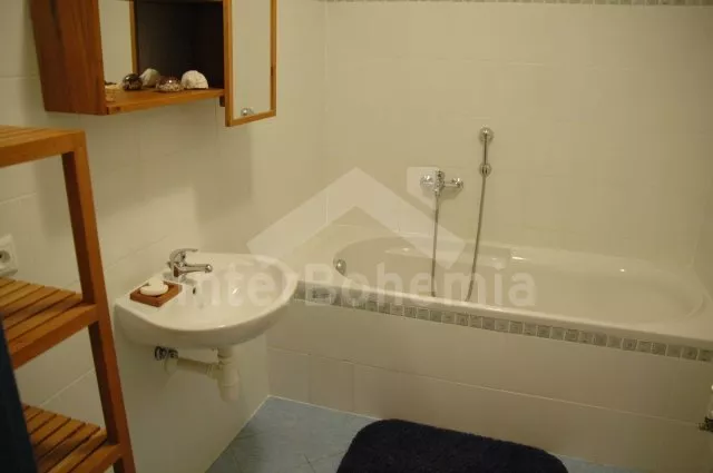 Apartmán Lipno JC 0024