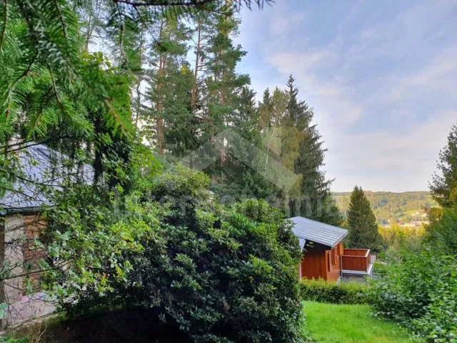 Chalet Bohemian-Moravian highlands - Trhova Kamenice VC 0054