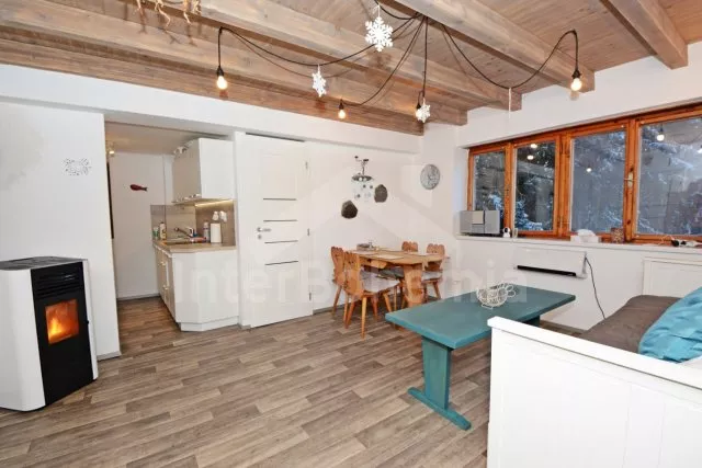 Chalet Bohemian-Moravian highlands - Trhova Kamenice VC 0054