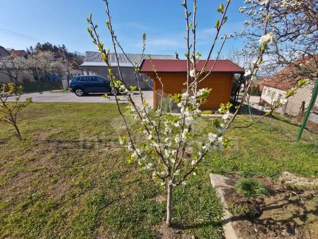 Mobilheim Jižní Morava - Nikolčice (Hustopeče) JM 0037