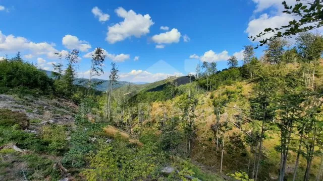 Chalupa Beskydy - Návsí (Jablunkov) SM 0103