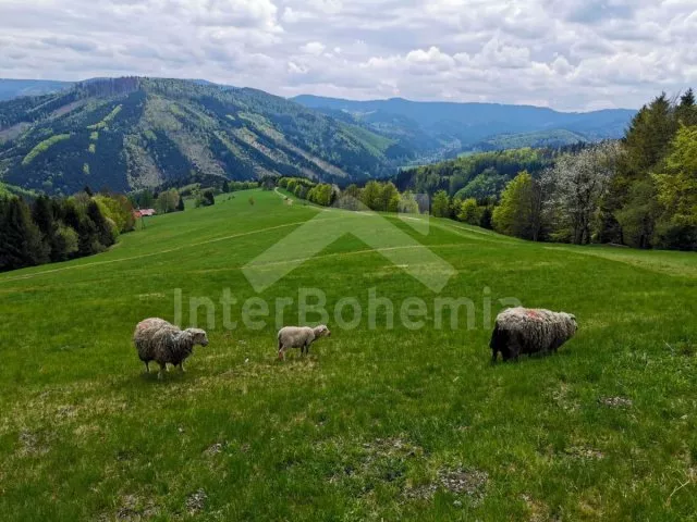 Chalupa Beskydy - Návsí (Jablunkov) SM 0103