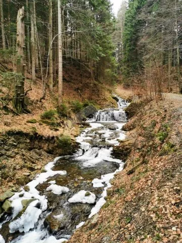 Chalupa Beskydy - Návsí (Jablunkov) SM 0103