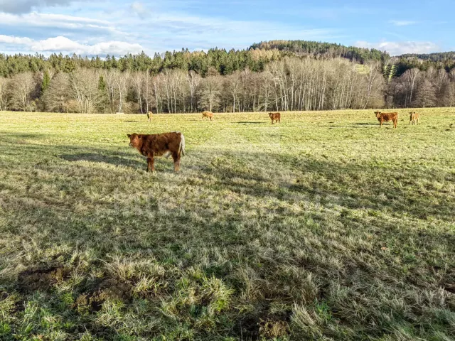 Chalupa Šumava a předhůří - Jesení (Čachrov) ZC 0054