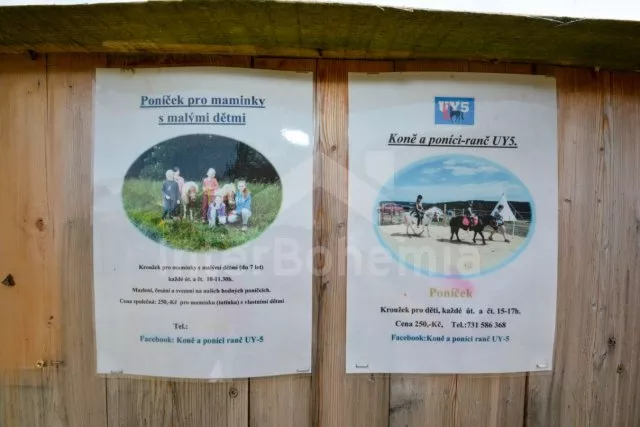 Možnost jízdy na koních