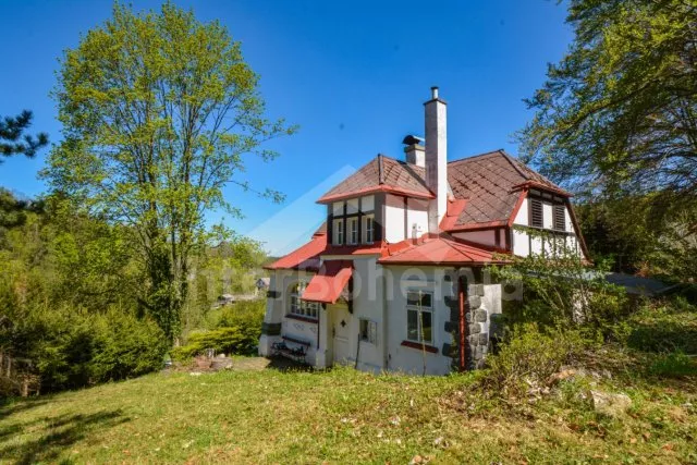 Vila Šumava a předhůří - Chlum (Hartmanice) ZC 0059