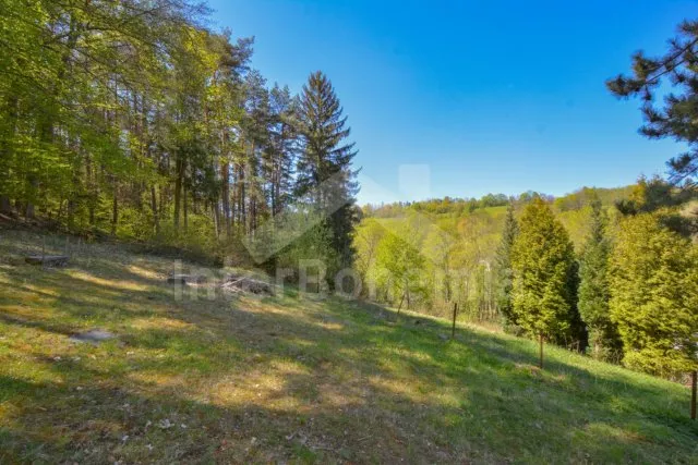 Vila Šumava a předhůří - Chlum (Hartmanice) ZC 0059