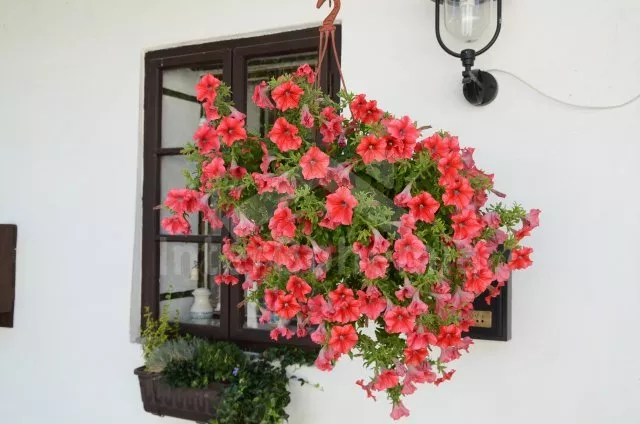 Chalupa Moravský kras JM 0046