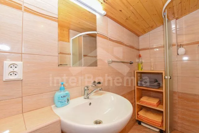 Chalet Lipno Lake - Radslav (Cerna v Posumavi) JC 0351