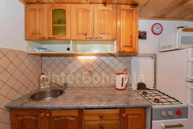 Chalet Lipno Lake - Radslav (Cerna v Posumavi) JC 0351