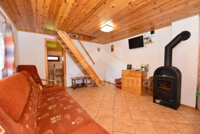 Chalet Lipno Lake - Radslav (Cerna v Posumavi) JC 0351