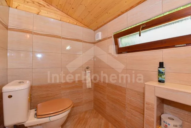 Chalet Lipno Lake - Radslav (Cerna v Posumavi) JC 0351