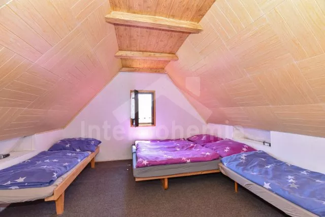 Chalet Lipno Lake - Radslav (Cerna v Posumavi) JC 0351