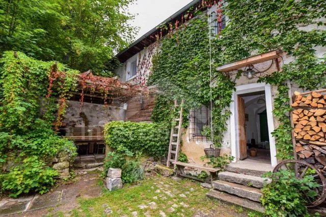 Holiday Home Lipno Lake JC 0431