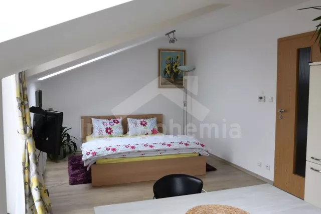 Apartmán Třeboňsko - Třeboň JC 0433