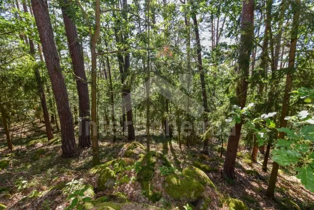 Bungalow Südböhmen – Orlik Stausee - Jickovice (Zvikovske Podhradi) JC 0366