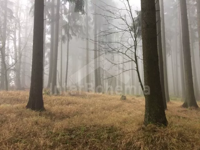 Chalupa Český les - Milíře ZC 0188