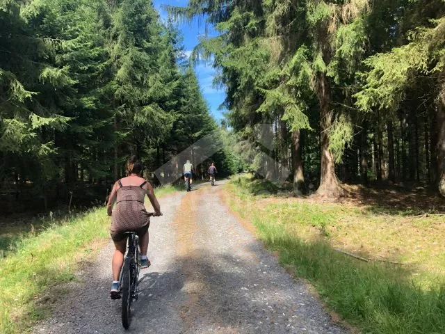 Chalupa Český les - Milíře ZC 0188