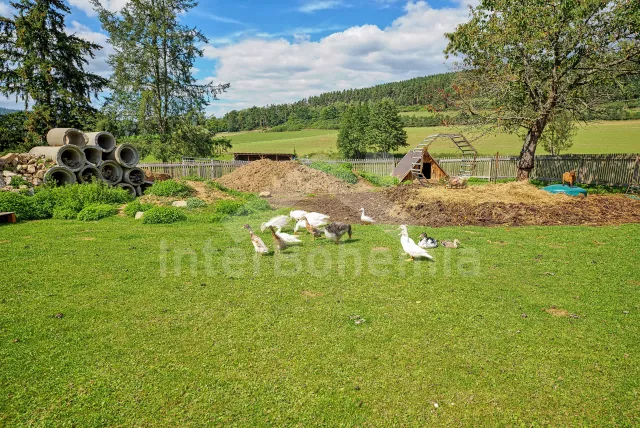 Apartmán Šumava a předhůří - Straňovice (Volyně) JC 0776