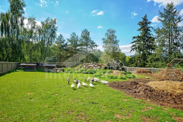 Apartmán Šumava a předhůří - Straňovice (Volyně) JC 0776