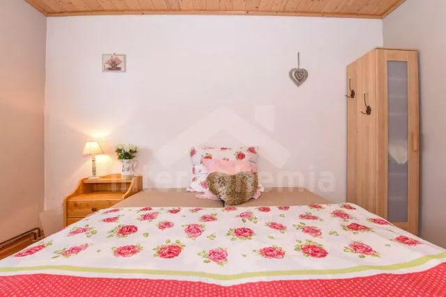 Domek Šumava a předhůří - Bodenmais DE 0001