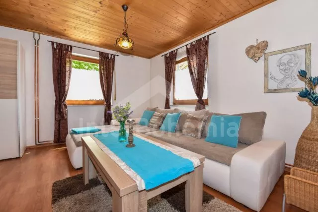 Domek Šumava a předhůří - Bodenmais DE 0001