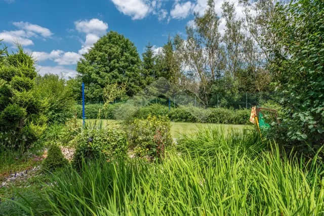 Chalupa Českomoravská vrchovina - Veselý Kopec VC 0177