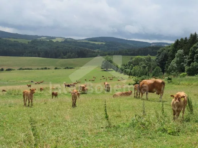 Chalupa Český les - Milíře ZC 0189