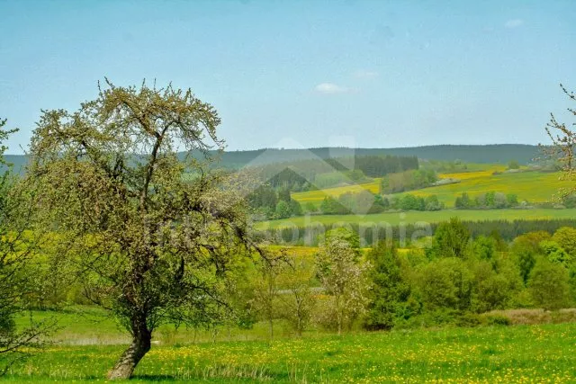 Chalupa Český les - Milíře ZC 0190