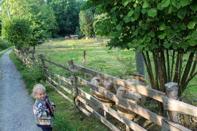 Chalupa Český les - Milíře ZC 0190