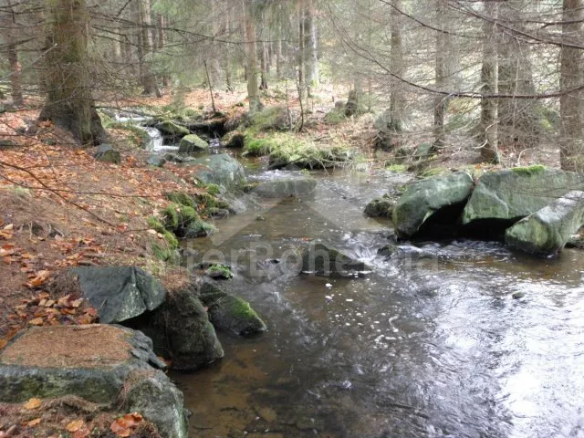 Vakantiehuis Heuvellandschap Boheems bos - Obora ZC 0192