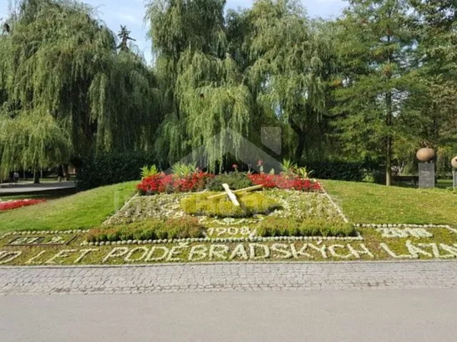 Apartmán Praha a okolí - Poděbrady OP 0109