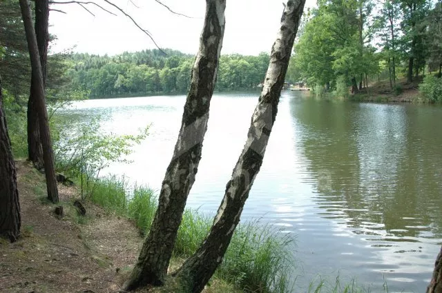 Chata Jihočeské rybníky JC 0028