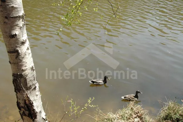Chata Jihočeské rybníky JC 0028