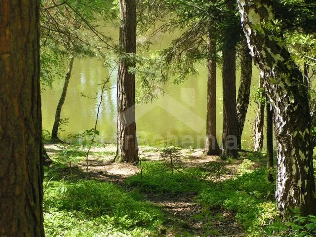 Chata Jihočeské rybníky JC 0028