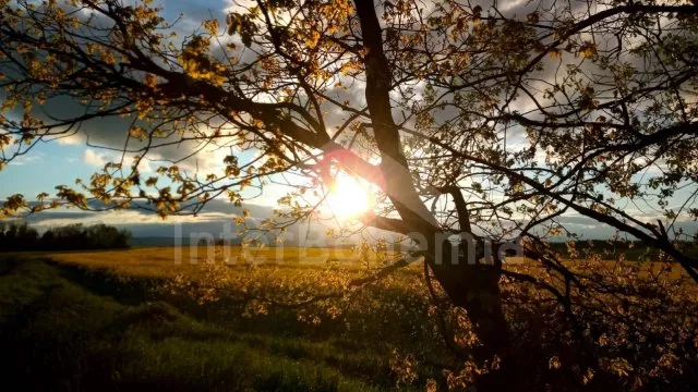 Domek České středohoří - Kolešov ZC 0066