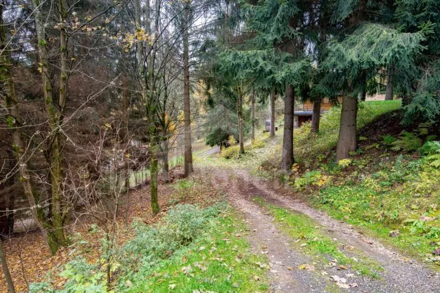 Příjezd k chalupě po lesní cestě