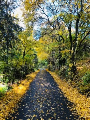 Příroda Českého středohoří