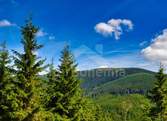 Chalupa Horní Orlice - Králický Sněžník