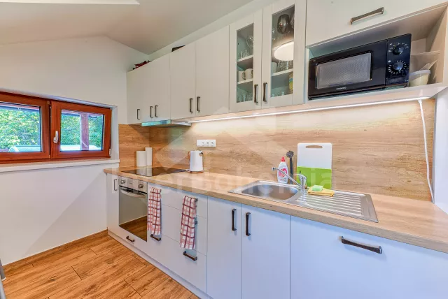 Chalupa Orlické hory a předhůří - Horní Orlice (Králíky) VC 0060