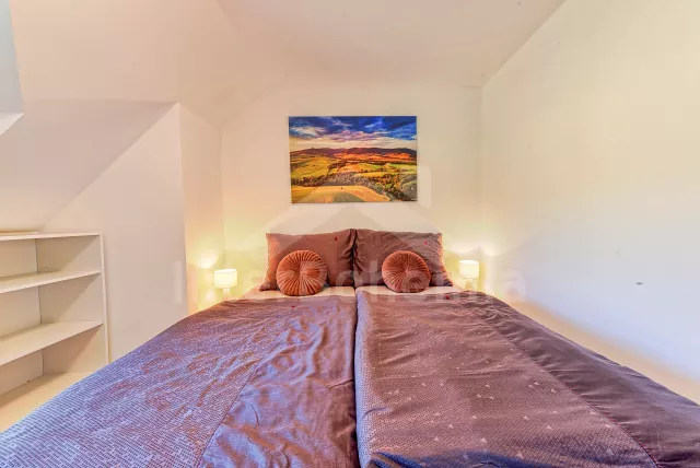 Chalupa Orlické hory a předhůří - Horní Orlice (Králíky) VC 0060