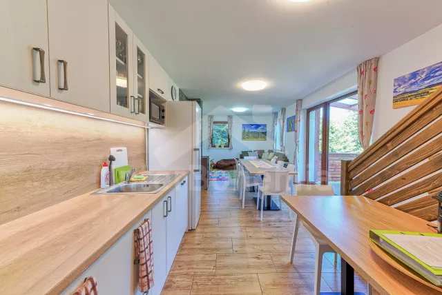 Chalupa Orlické hory a předhůří - Horní Orlice (Králíky) VC 0060