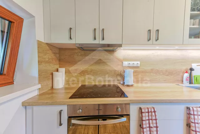 Chalupa Orlické hory a předhůří - Horní Orlice (Králíky) VC 0060