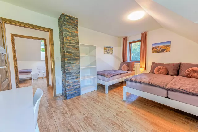 Chalupa Orlické hory a předhůří - Horní Orlice (Králíky) VC 0060