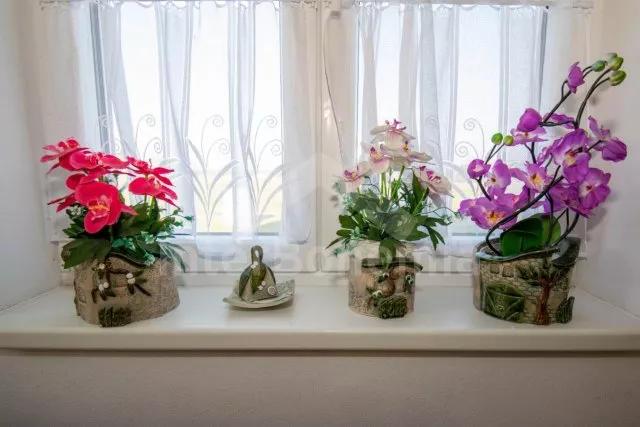 Chalupa Třeboňsko - Hranice JC 0443