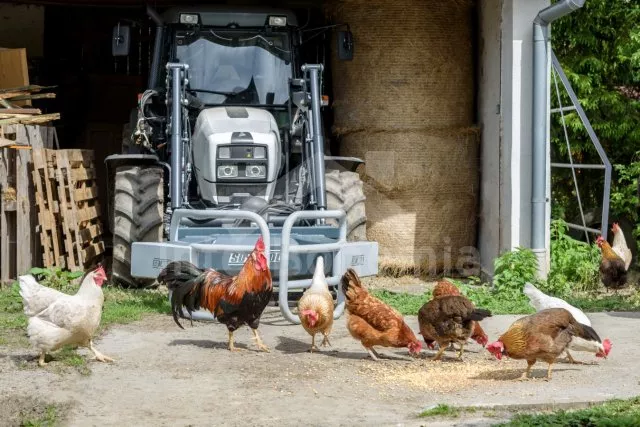 Statek Beskydy - Hradiště SM 0107