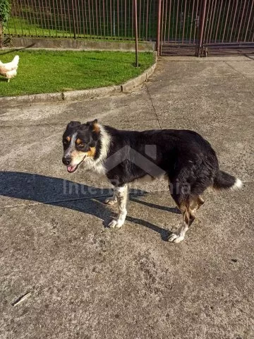 Statek Beskydy - Hradiště SM 0107