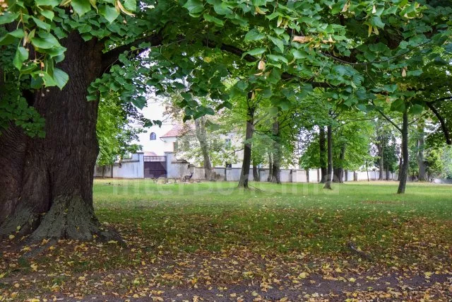 Ferienwohnung Südböhmen – Böhmerwald - Dub JC 0460